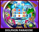 Dolphin Paradise