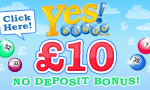Free Bingo Bonus
